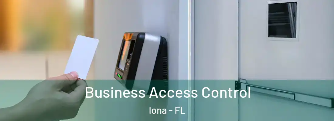 Business Access Control Iona - FL