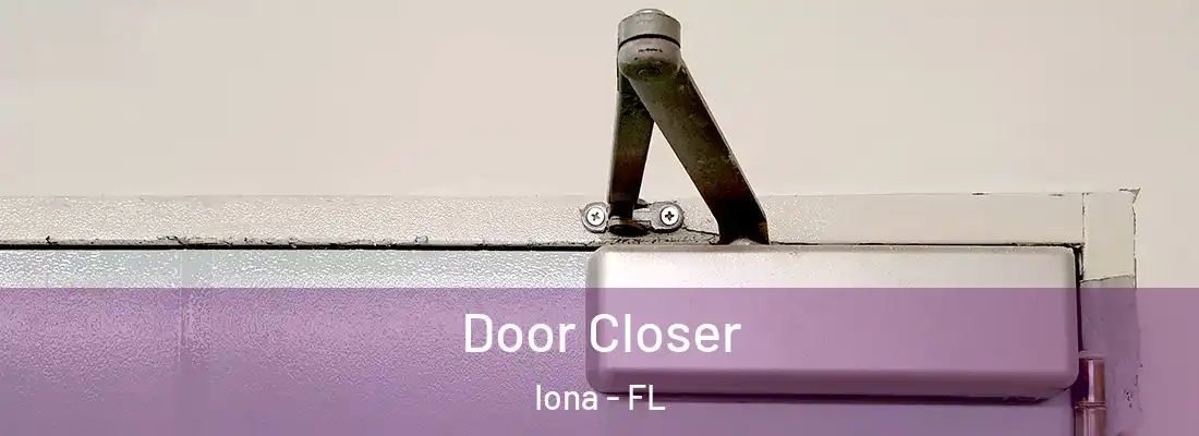  Door Closer Iona - FL
