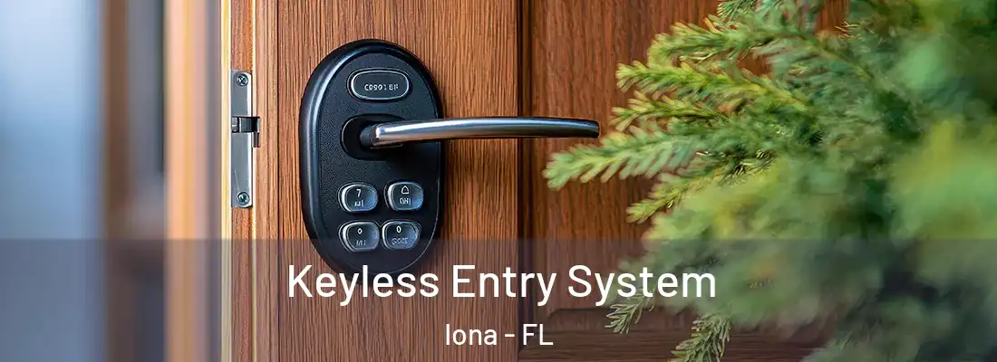  Keyless Entry System Iona - FL