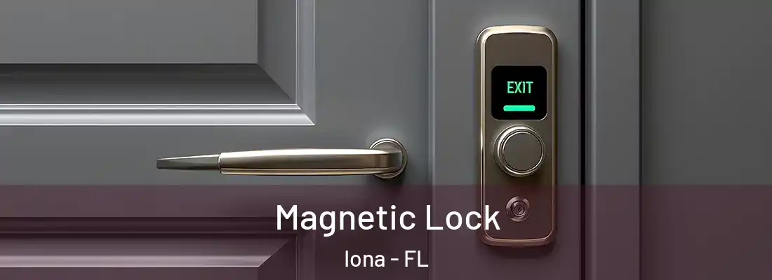  Magnetic Lock Iona - FL