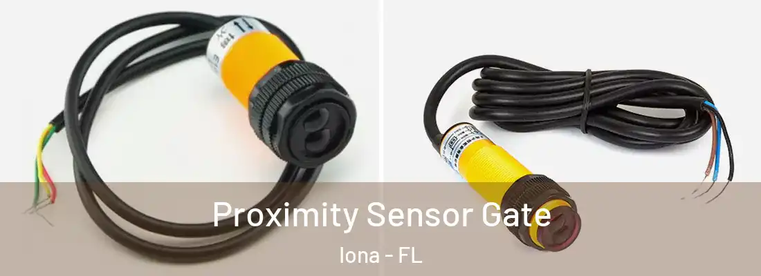 Proximity Sensor Gate Iona - FL