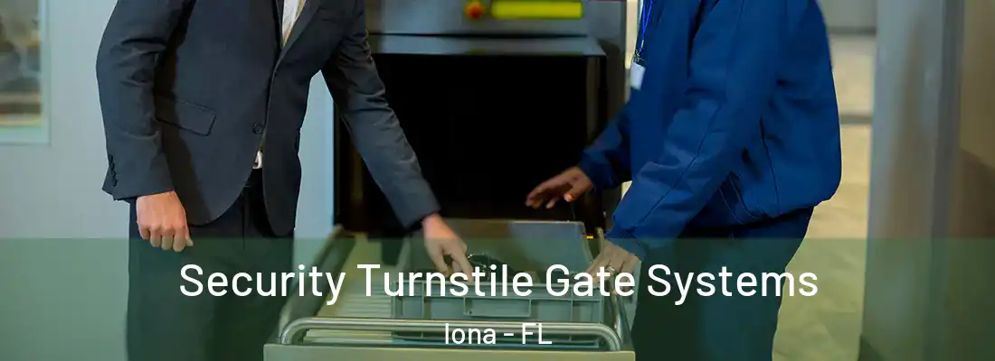 Security Turnstile Gate Systems Iona - FL