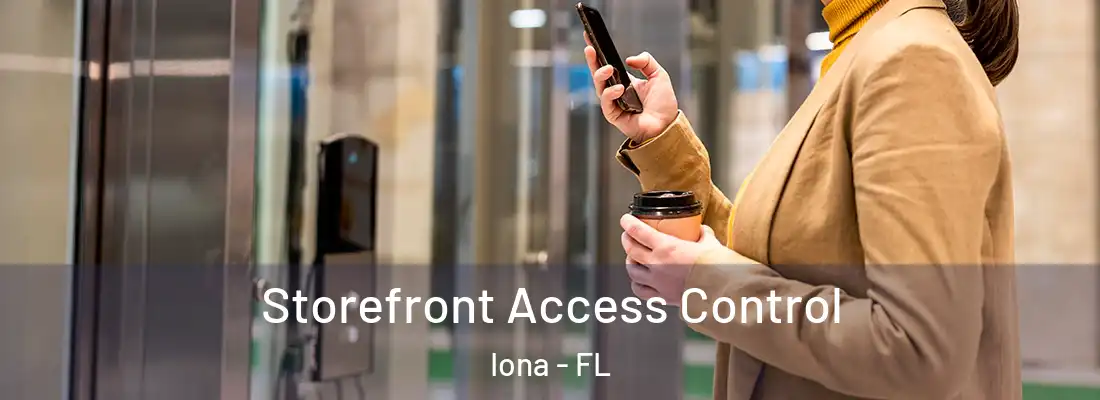  Storefront Access Control Iona - FL